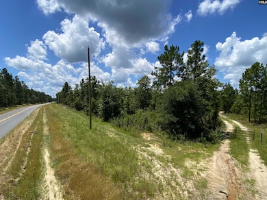 00 Bub Shumpert Rd, Pelion, SC 29123 - photo 2