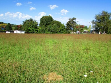 cherry tree lane (4)