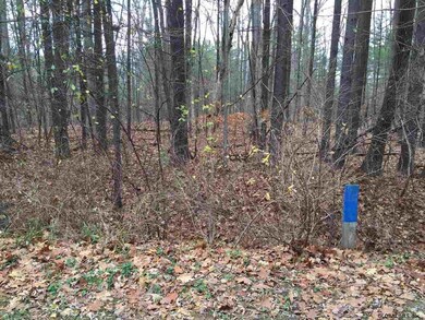 0 Station Ln, Saratoga Springs, NY 12866 - photo 2