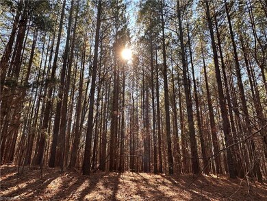 00 Garren Town Rd, Asheboro, NC 27205 - photo 2