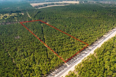  Just slightly more than 10 acres, this lot has ea