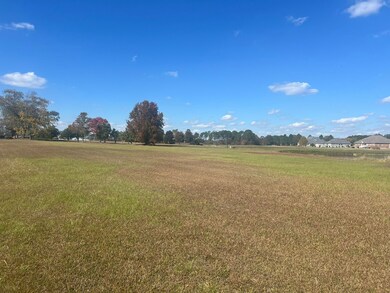 0 Belflower Rd unit 25624433, Tifton, GA 31794 - photo 3