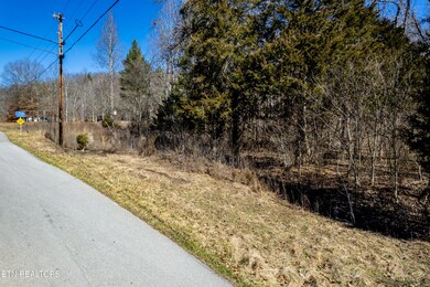 OldLeadineBendrd-3
