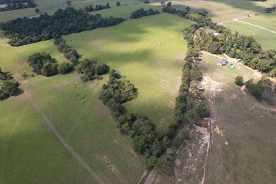 TBD-A County Road 435, Frankston, TX 75763 - photo 5