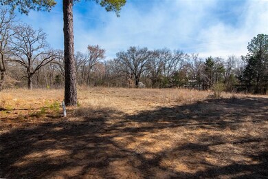 4 Lanes Ln, Pottsboro, TX 75076 - photo 4