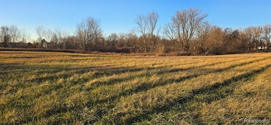 3 Mason Rd, Webberville, MI 48892 - photo 2