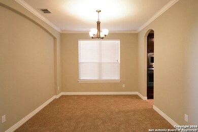 25722 Willard Path, San Antonio, TX 78261 - photo 4
