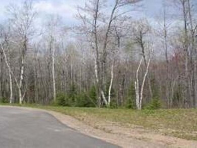 End of Sanctuary Rd, Tomahawk, WI 54487 - photo 6