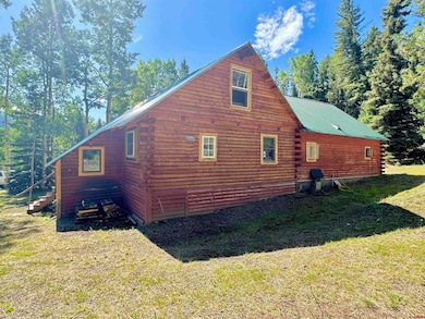 0 Forest Rd unit 816984, Del Norte, CO 81132 - photo 7