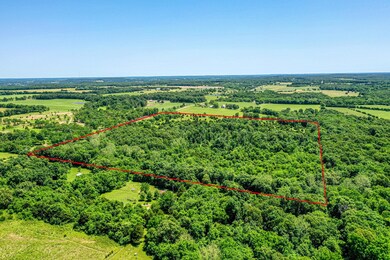 DJI_0781-Edit