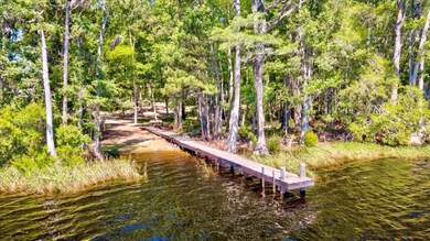 11 Frank Jones Rd, Crawfordville, FL 32327 - photo 6