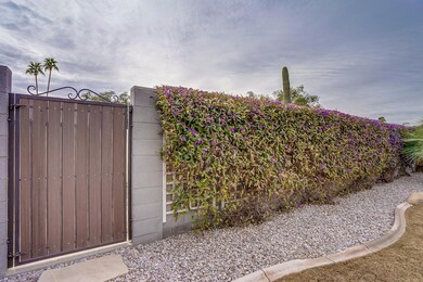 Desert Cove-15