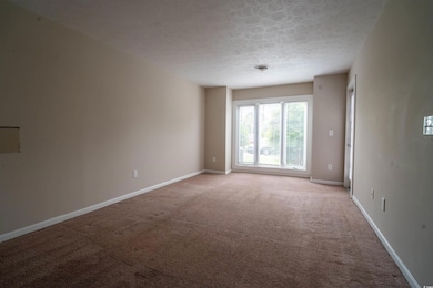Unfurnished room featuring light carpet, a textured ceiling, and baseboards