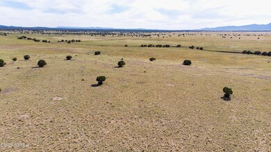 DJI_0126