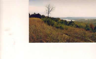 Lot Blue View Ln, Ruth B Rural Township, MO 65686 - photo 5