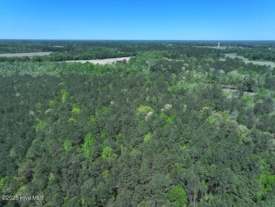 DJI_20250410124431_0532_D
