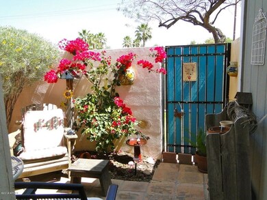 Saba patio 2