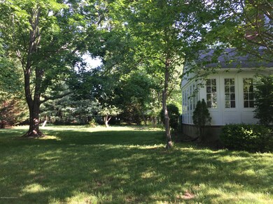 Side Yard 2