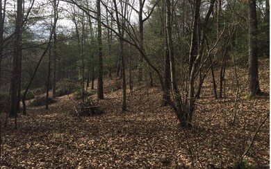 0 Bear Cub Trail unit 284816, Mineral Bluff, GA 30559 - photo 3