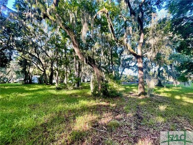 16 Sutherland Bluff Dr NE, Townsend, GA 31331 - photo 3