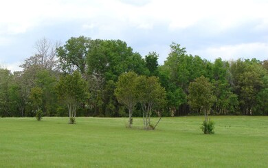 0 Mandiba Dr unit 104979, Lake City, FL 32024 - photo 2