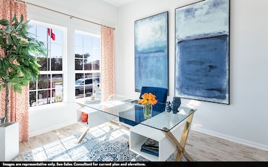 16724 Freshwater Dr, Celina, TX 75009 - photo 4