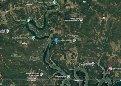 100 Piper Ln, Cedar Creek, MO 65627 - photo 3