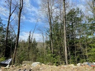 Lot 44-4 Bog Rd, Hillsborough, NH 03244 - photo 5
