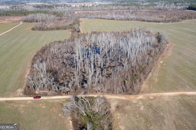 10544 Georgia 17, Wadley, GA 30477 - photo 6