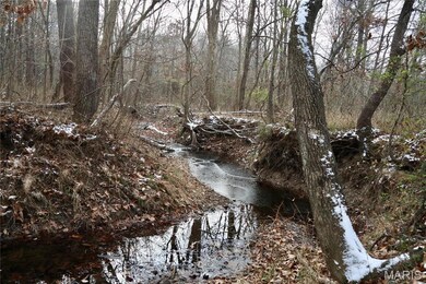 00 N Maysville Ln, Mount Vernon, IL 62864 - photo 5