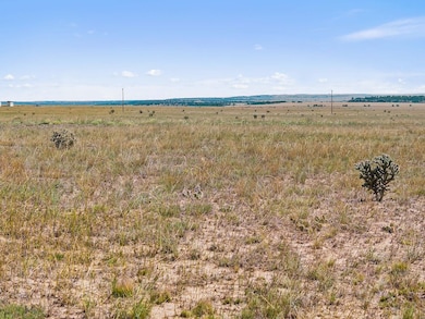Tbd County Road 115 Lot unit WP001, Rye, CO 81069 - photo 3