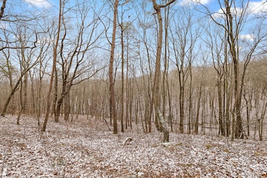 0 Twilight Trail, Dunlap, TN 37327 - photo 3