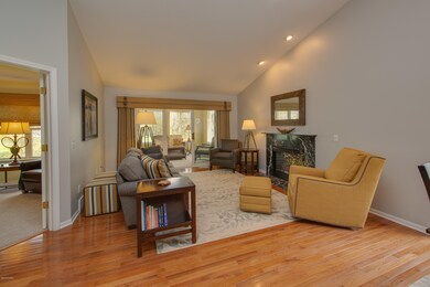 1542_Skylark_Ct-03