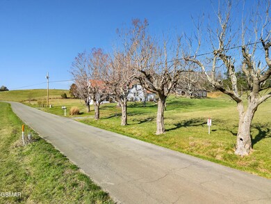 IMG_7549
