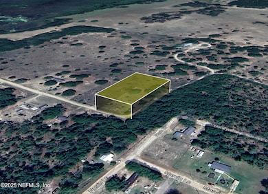 347 Chesser Monroe Rd, Hawthorne, FL 32640 - photo 3