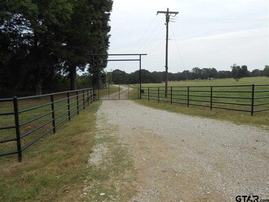 6411 County Road 21, Tyler, TX 75707 - photo 3