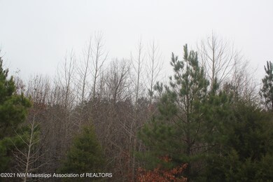 78 Bennett Cir, Byhalia, MS 38611 - photo 6