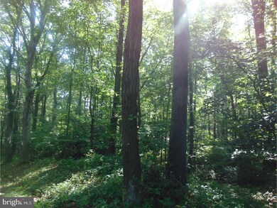 0 Indian Run Rd unit 1001243297, New Ringgold, PA 17960 - photo 7