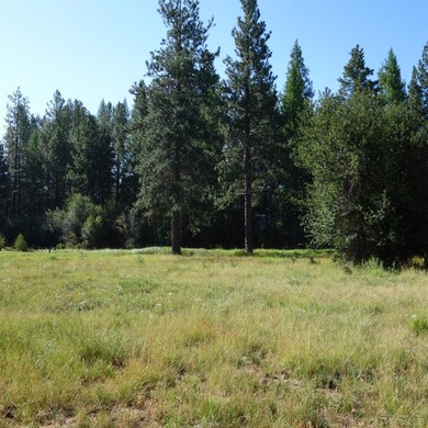 Tamarack6