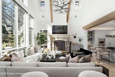 857 Bonita Dr unit B, Aspen, CO 81611 - photo 4