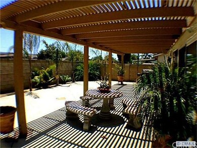 Back Patio