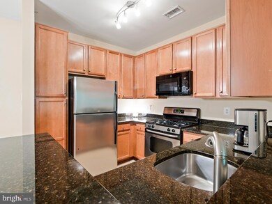 1505 N Point Dr unit 303, Reston, VA 20194 - photo 3