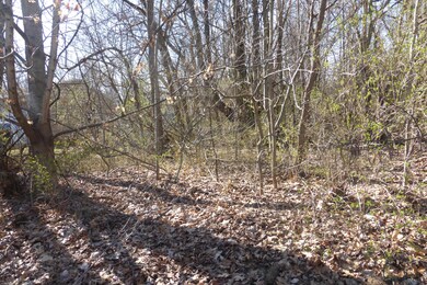 wooded and flat land