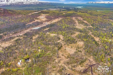 E Round Top Rd, Talkeetna, AK 99676 - photo 7