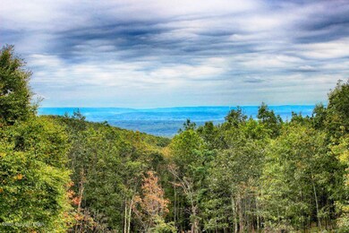 The View 402 Scenic Dr