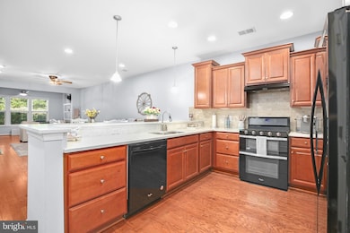 183 Long Point Dr, Fredericksburg, VA 22406 - photo 7