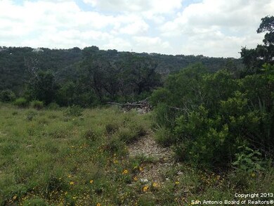 9866 Cash Mountain Rd, Helotes, TX 78023 - photo 5