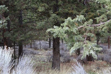 1728 NW Remarkable #30 Dr, Bend, OR 97701 - photo 3