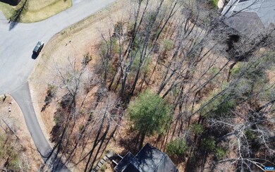 0 Lake Dr unit 158 649061, Ruckersville, VA 22968 - photo 5