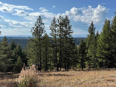 View of mountain backdrop featuring a heavily wooded area